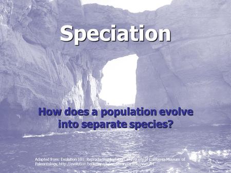 Speciation How does a population evolve into separate species? Adapted from: Evolution 101: Reproductive Isolation. University of California Museum of.