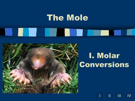IIIIIIIV The Mole I. Molar Conversions What is the Mole? A counting number (like a dozen or a pair) Avogadro’s number 6.02  10 23 1 mole = 6.02  10.