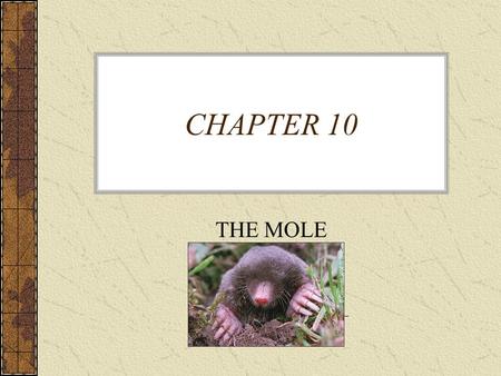 CHAPTER 10 THE MOLE.