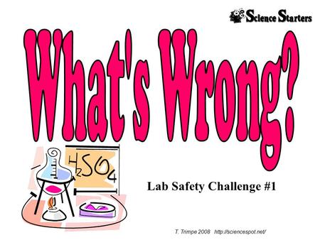 T. Trimpe 2008 http://sciencespot.net/ What's Wrong? Lab Safety Challenge #1 T. Trimpe 2008 http://sciencespot.net/