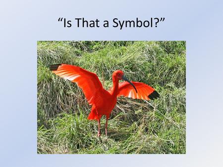 “Is That a Symbol?”. In Simple Terms, A Symbol is… A person, place, thing or event that stands for itself and something beyond itself. Something you can.