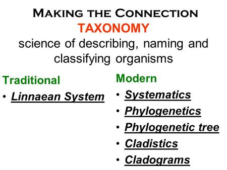 Modern Systematics Phylogenetics Phylogenetic tree Cladistics