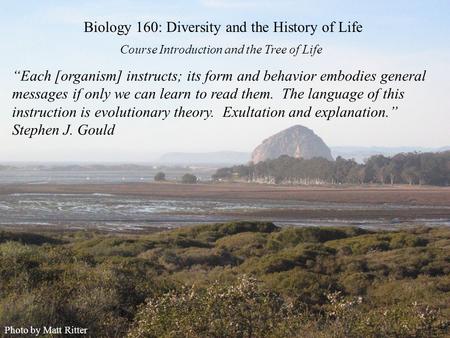 Course Introduction and the Tree of Life Biology 160: Diversity and the History of Life Photo by Matt Ritter “Each [organism] instructs; its form and behavior.