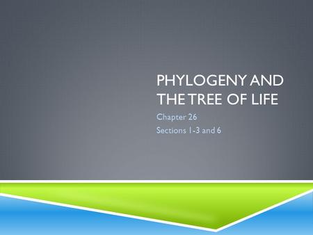PHYLOGENY AND THE TREE OF LIFE Chapter 26 Sections 1-3 and 6.