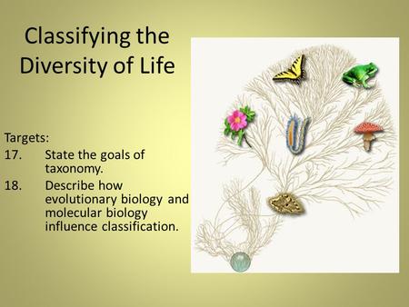 Classifying the Diversity of Life Targets: 17. State the goals of taxonomy. 18. Describe how evolutionary biology and molecular biology influence classification.