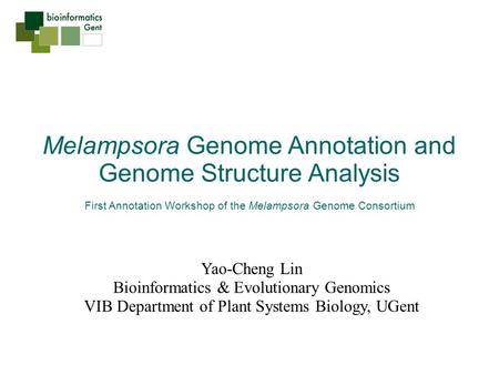 Melampsora Genome Annotation and Genome Structure Analysis First Annotation Workshop of the Melampsora Genome Consortium Yao-Cheng Lin Bioinformatics &