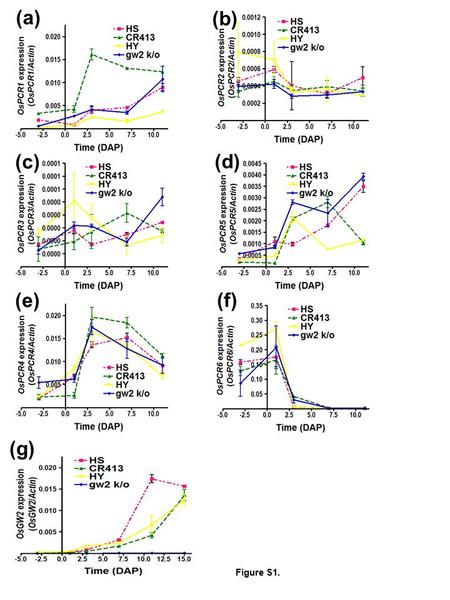 (a) (b) (c) (d) (e) (f) (g) Figure S1.. Figure S1. Comparison of OsPCR1-6 and GW2 transcript levels in the grains of developing gw2 and wild-type isogenic.