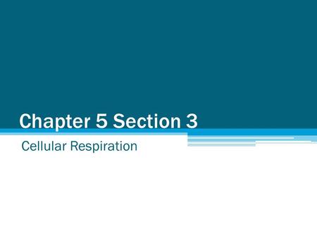 Chapter 5 Section 3 Cellular Respiration.