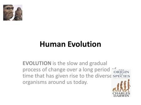 Human Evolution EVOLUTION is the slow and gradual process of change over a long period of time that has given rise to the diverse organisms around us today.