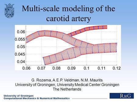Multi-scale modeling of the carotid artery