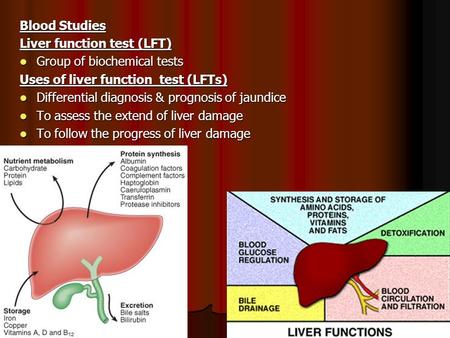 Blood Studies Liver function test (LFT) Group of biochemical tests Group of biochemical tests Uses of liver function test (LFTs) Differential diagnosis.