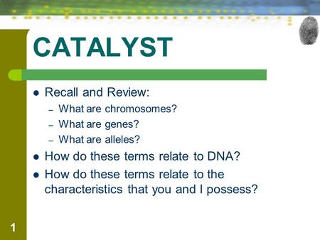 CATALYST Recall and Review: – What are chromosomes? – What are genes? – What are alleles? How do these terms relate to DNA? How do these terms relate to.