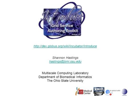 Shannon Hastings Multiscale Computing Laboratory Department of Biomedical Informatics.