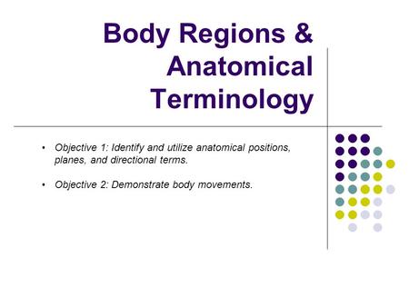 Body Regions & Anatomical Terminology