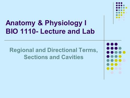 Anatomy & Physiology I BIO Lecture and Lab