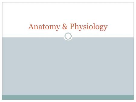 Anatomy & Physiology.