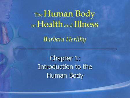 Chapter 1: Introduction to the Human Body
