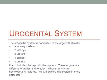 Urogenital System The urogenital system is comprised of the organs that make up the urinary system 2 kidneys 2 ureters 1 bladder 1 urethra It also includes.