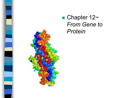 N Chapter 12~ From Gene to Protein. Protein Synthesis: overview n One gene-one enzyme hypothesis (Beadle and Tatum) n One gene-one polypeptide (protein)