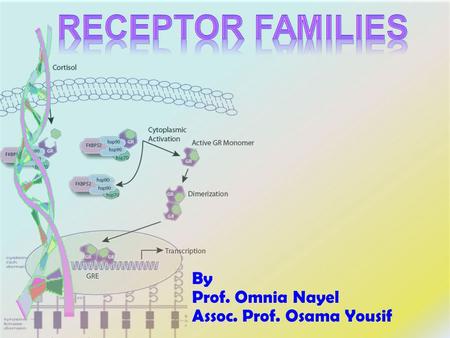 By Prof. Omnia Nayel Assoc. Prof. Osama Yousif. By the end of this lecture you will be able to :  Classify receptors into their main superfamilies 