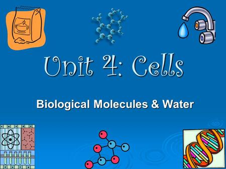 Biological Molecules & Water