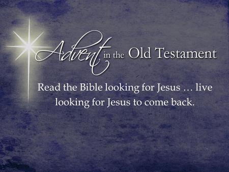 Read the Bible looking for Jesus … live looking for Jesus to come back.