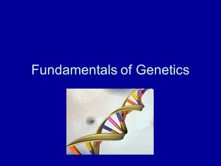 Fundamentals of Genetics. Gregor Mendel Mendel was an Austrian monk who studied genetics by using pea plants. Mid 1800’s.