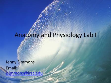 Anatomy and Physiology Lab I