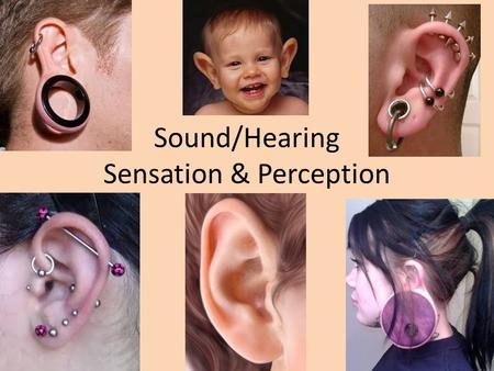 Sound/Hearing Sensation & Perception. Characteristics of Sound Frequency – corresponds to the perceptual term pitch.