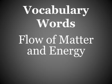 Vocabulary Words Flow of Matter and Energy. Producer an organism that uses sunlight directly to make sugar which in turn makes energy.