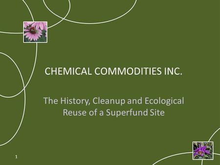 CHEMICAL COMMODITIES INC. The History, Cleanup and Ecological Reuse of a Superfund Site 1.