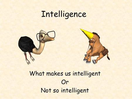 Intelligence What makes us intelligent Or Not so intelligent.