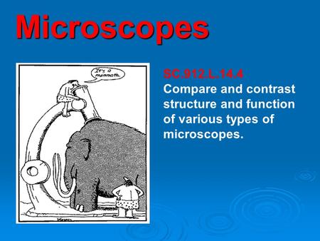 Microscopes SC.912.L.14.4 Compare and contrast structure and function of various types of microscopes.