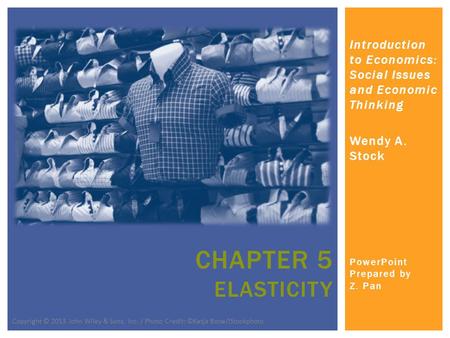Introduction to Economics: Social Issues and Economic Thinking Wendy A. Stock PowerPoint Prepared by Z. Pan CHAPTER 5 ELASTICITY Copyright © 2013 John.
