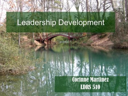 Leadership Development Corinne Martinez LDRS 510.