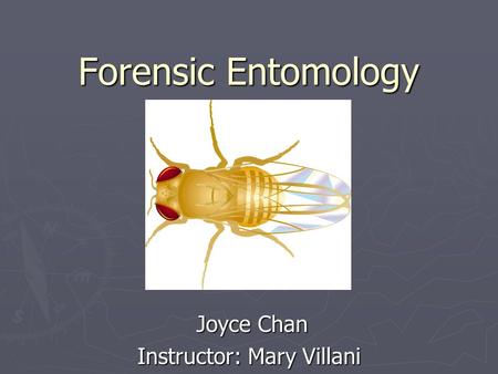 Forensic Entomology Joyce Chan Joyce Chan Instructor: Mary Villani.