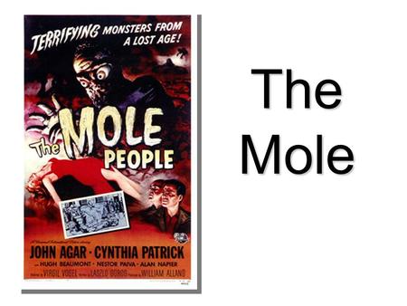 The Mole Calculating Formula/Molar Mass Calculate the molar mass of carbon dioxide, CO 2. 12.01 g + 2(16.00 g) = 44.01 g  One mole of CO 2 (6.02 x 10.