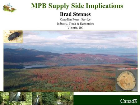 MPB Supply Side Implications Brad Stennes Canadian Forest Service Industry, Trade & Economics Victoria, BC.