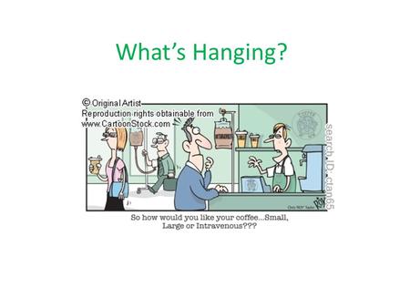 What’s Hanging?.