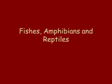 Fishes, Amphibians and Reptiles. Animals with a backbone are called vertebrates.