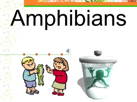 Amphibians Classification Kingdom: Animalia Phylum: Chordata Subphylum Vertebrates Class: Amphibians Examples- frogs, toads, salamanders newts.