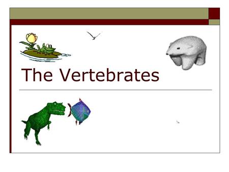 The Vertebrates.