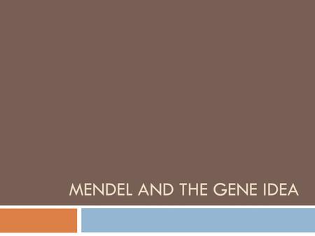 MENDEL AND THE GENE IDEA. The Father of Genetics  Gregor Mendel  (1822-1884)  Austrian Monk  Studied inheritance in pea plants  Responsible for the.