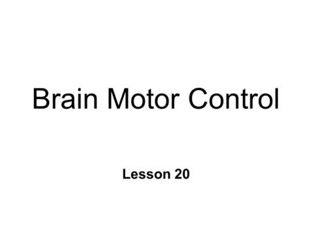 Brain Motor Control Lesson 20. Hierarchical Control of Movement n Association cortices & Basal Ganglia l strategy : goals & planning l based on integration.