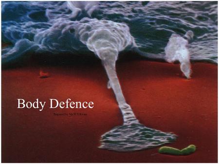 Body Defence Prepared by Ms W.S.Kwan Pathogens  Microorganisms causing diseases  eg. bacteria viruses fungi protozoa.