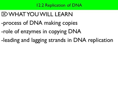 -process of DNA making copies -role of enzymes in copying DNA