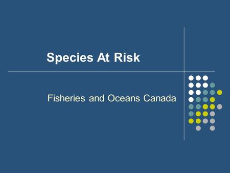 Species At Risk Fisheries and Oceans Canada. Legislation - Update on Status Bill C-5 currently before the Senate Has been given 1st and 2nd readings Bill.