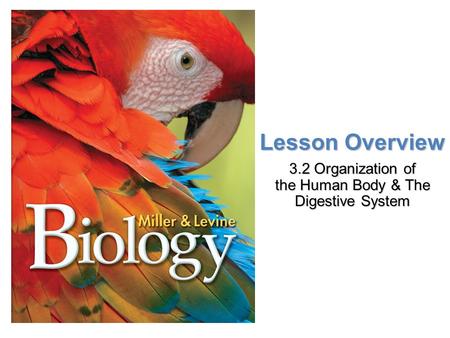 Lesson Overview 3.2 Organization of the Human Body & The Digestive System.