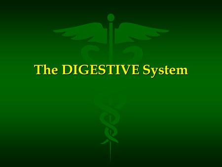 The DIGESTIVE System.