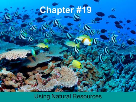 Chapter #19 Using Natural Resources. Chapter 19.1 Notes Ecosystem all of the living and nonliving things in a certain place. (Forest) Community- (Living.